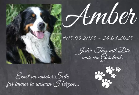 bedrucktGedenktafel Amber Bild