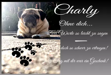 bedrucktGedenktafel Charly Bild
