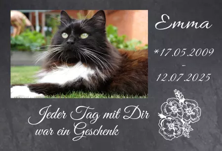 bedrucktGedenktafel Emma Bild