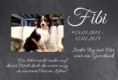 bedrucktGedenktafel Fibi Bild