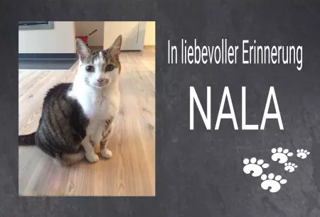 bedrucktGedenktafel In liebevoller Erinnerung NALA Bild