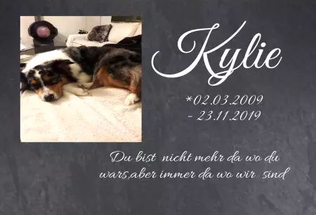 bedrucktGedenktafel Kylie Bild