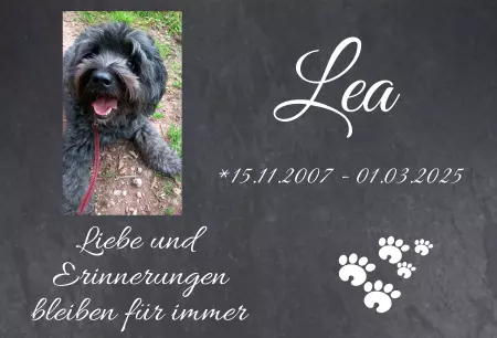 bedrucktGedenktafel Lea Bild