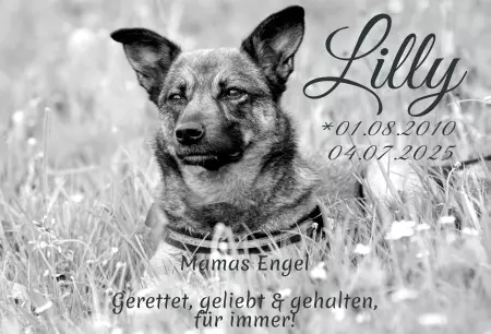 bedrucktGedenktafel Lilly Bild