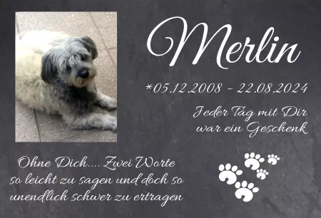 bedrucktGedenktafel Merlin Bild