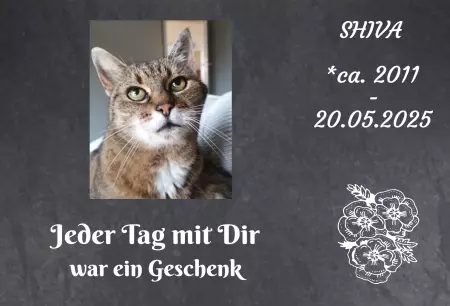 bedrucktGedenktafel Shiva Bild